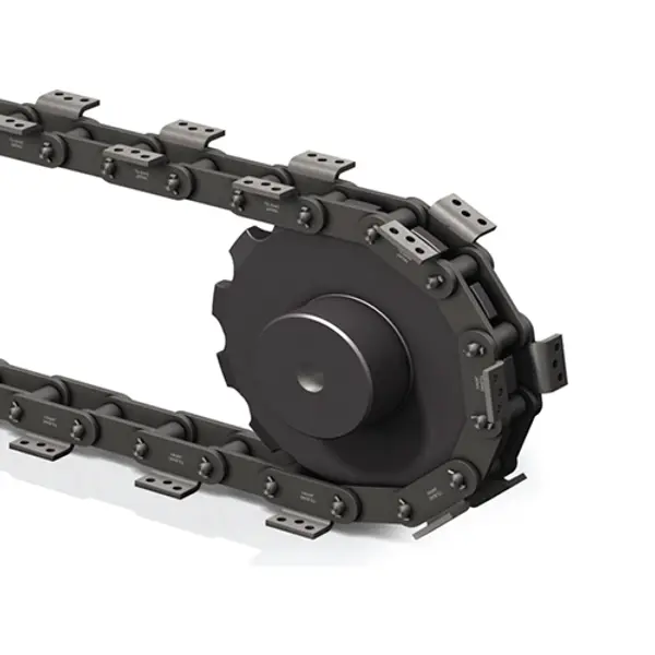 Chain special