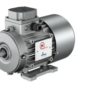Electric motors