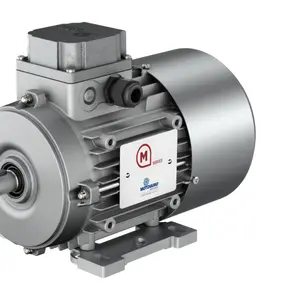 Electric motors